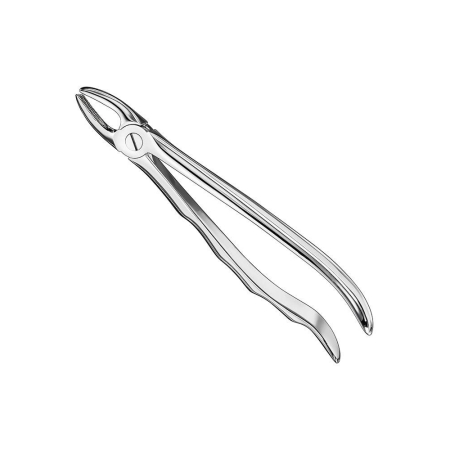 Extracting forceps, engl